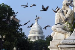 Watch: VP Kamala Harris Swears In New Senators