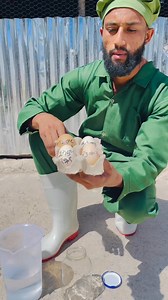 የተበላሸ እንቁላል በቀላሉ ለመለየት | የዶሮ እርባታ ለጀማሪዎች poultry farm