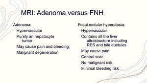 Evaluation of Focal Liver Lesions: A Primer for the Internist