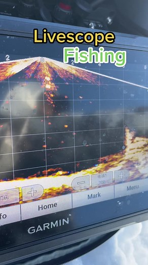 Shore Fishing Live Scope - Hooked Up with Garmin Livescope