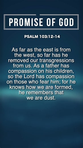 #PromiseofGod #Bible #Jesus #GlorytoGod #youtubeshorts #shorts #Biblicalpromise #inspiration