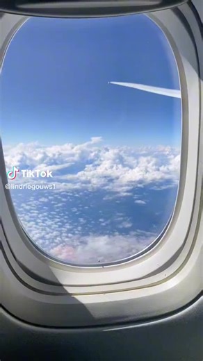 The engagement #memories #2022 @Lindrie Pitbull