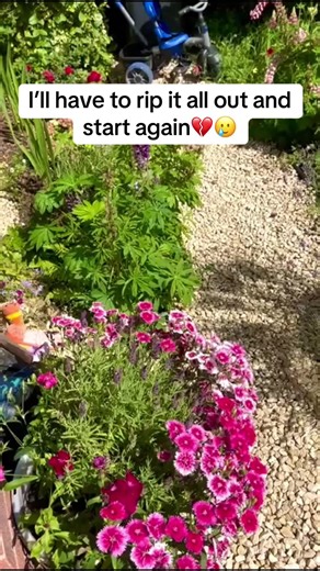 Cottage Garden Transformation: Battling Invasive Vines