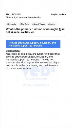 Neuroglia Function in Neural Tissue Biology 12th