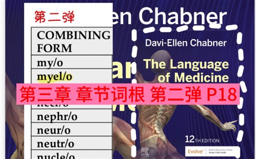 加油更呀更！危险发言：我的视频值得明白且识货的优秀宝看！chapter3: some roots (part 2) P18