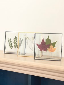 Set of 2 Glass Frame for Pressed Flowers, Leaf and Artwork - Standing Square Metal Picture Frames, Modern Double Glass Floating Frame Decor - Etsy