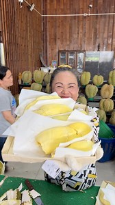 1.2M views · 17K reactions | ทุเรียนหมอนทอง 2ลูกจัดไป | บ้านมด ทุเรียน ขนมของฝาก | Facebook