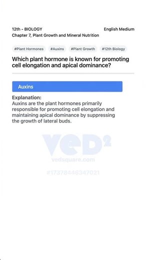 Plant Hormones Auxins Role in Growth 12th Biology
