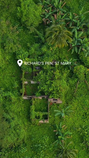 🌿 20.5-Acre Paradise for Sale! 🌿 Tucked away in Richards Pen, St. Mary, this stunning riverside property is perfect for eco-tourism, a wellness retreat, a farmstead with resort like Airbnb cabins, or your dream getaway! 🏡 Property Features: ✔ River Access ✔ Approx 15 Acres of Flat Land 5.5 Acres Mixed Terrain ✔ Small Natural Spring ✔ 35-40 mins to Ocho Rios | 25 mins to Ian Fleming Intl. Airport 💰 Listed at J$40M – Don’t miss this rare find! Call to set a property tour today. Ready to •BUY •
