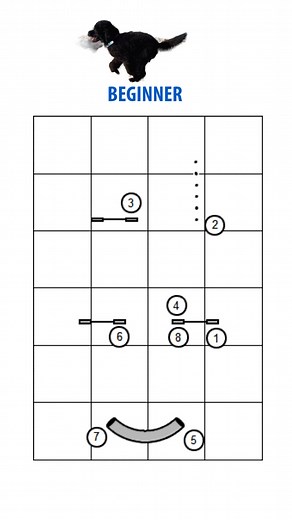 13K views · 85 reactions | These exercises are from Brenna Fender, author of the new agility exercise book, "Ready to Run, Vol. 2 - Agility Skills & Drills for Small Spaces"! Check it out here: https://www.cleanrun.com/product/ready_to_run_vol_2_agility_skills_drills_for_small_spaces/index.cfm | Clean Run | Facebook