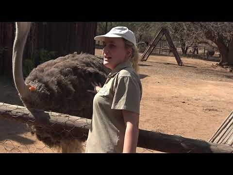 Cango Caves & Ostrich Farm - South African Tour - 22 Aug 2019