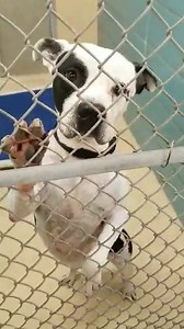 43 shares · 3 comments | LAST CALL!!! Ryan Gossling is signed off for...