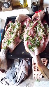 Alberto Castillo on Reels