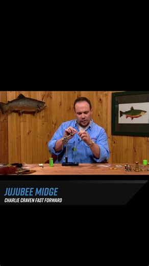 Fly Fisherman Fast Forward: Jujubee Midge