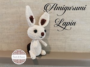 Tuto Crochet " Lapin " (Amigurumi)