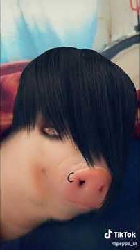 nya ichi ni san nya arigato meme compilation