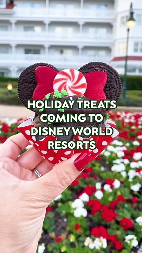 SNEAK PEEK at all the holiday 🎄 #disneysnacks coming to #DisneyResorts ❄️ You can find the FULL LIST on DFB! #disneyholidays