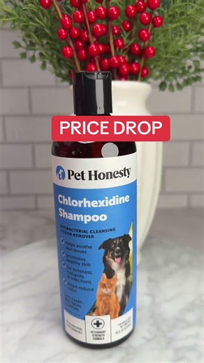 Chlorhexidine Shampoo: Amazing Deal for Women 30+ #PetCare #ShampooDeal