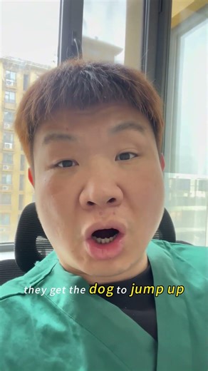 This Common Way of Picking Up Dogs Can Hurt Them