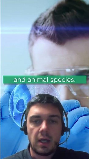 AAPS PharmSCI 2025—TAB & NAB Assays Explained