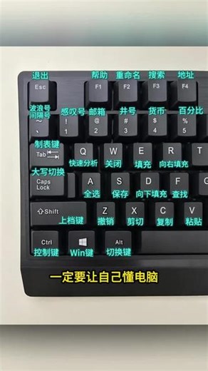 新手零基础学电脑一本通，打字办公轻松应对，零基础必备