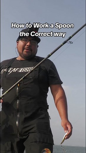 This is how to correctly work a spoon to land your next big fish! #fishing
