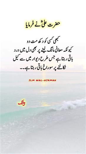 Beautiful Words #islamicvideo #islamicquotes #islamicreminder #muslimcontent #shortsfeed #shorts