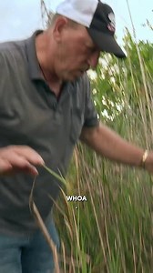 Pickle catches a MEAN python. 🐍 - Swamp People on History