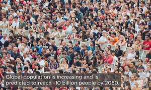 Multiple cropping systems could increase global cropping intensity