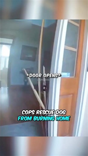 Cops Rescue Dog From Burning Home