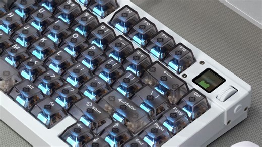 MOD007 V5 HE 电泳白