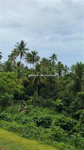 At Jean-Michel Cousteau Resort, we believe in learning from our island and our home. Through guided excursions, you and your family can explore the reef, walk through the eco gardens, and experience the living traditions that shape Fiji. Here, the spirit of vanua is felt in every connection to the land, the sea, and the community. #JeanMichelCousteauResort #FijiCulture #Vanua #FamilyTravel | Jean-Michel Cousteau Resort Fiji