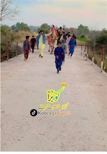 Kobra Group: Discover the Charm of Camel Lovers