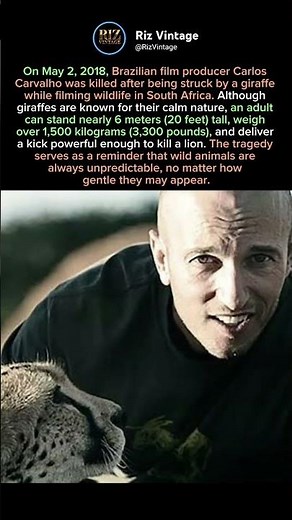 Film Producer Killed by a Giraffe😱