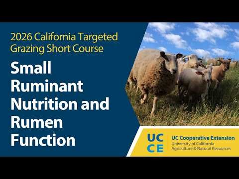 Small Ruminant Nutrition and Rumen Function