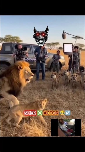Lion & Hyenas Behind The Scenes! 🤯 Wildlife Acting Class