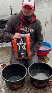 ❄️ WINTER FEEDER BASICS | THE MIX