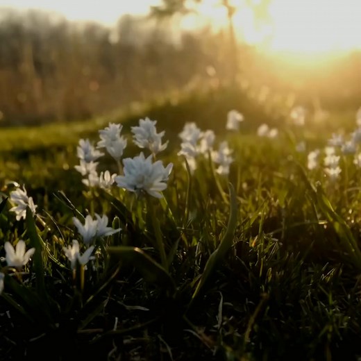 Today’s kanji combo is a cool surprise! 🌟 Watch how two simple kanji come together to form something new and powerful—it’s the magic of learning in motion! ✨ Keep exploring, keep shining, and like, follow, and share to spread the kanji fun! 🎌💫 #fypageシ #kanjichallenge #nihongo #study #benkyou #japanese #fypviral #fypシ | Cloud Journal