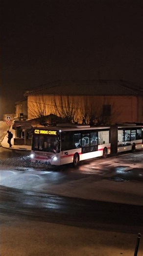 Neige ❄️❄️ sur la ligne C22 #Lyon #Brindas #Bus #Neige