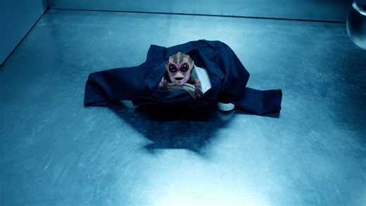 NASA's Viking Missions May Have Accidentally Killed Martian Life 50 Years Ago