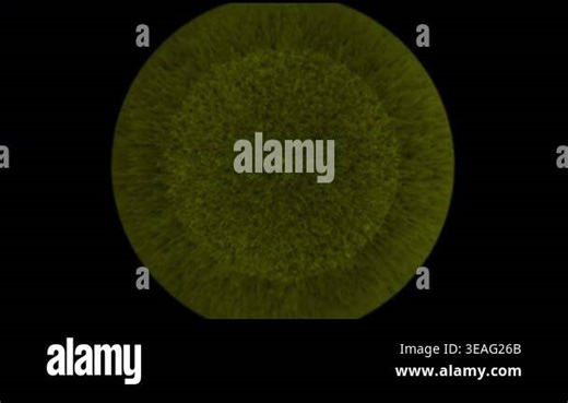Rotating abstract green sphere organic texture science medical technology design element loop. Abstract green sphere organic texture rotating seamless loop animation 4K ultra HD visuals Stock Video Footage - Alamy