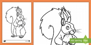 Baby Squirrel Colouring Sheet