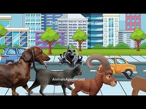 WILD Animal Stampede Caught on Camera!