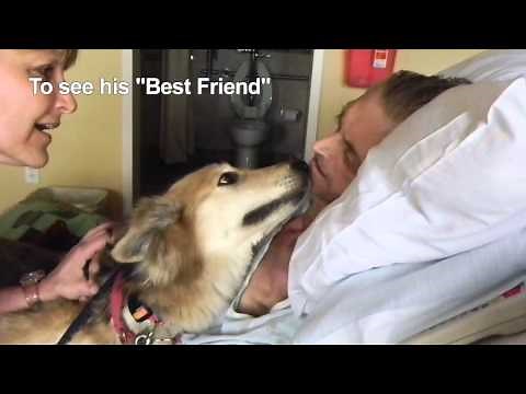 "So God Made A Dog" A gift to all of us