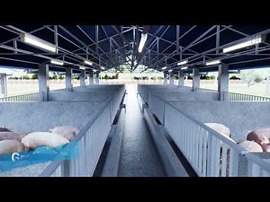 20 sow level building | Pig Farm Design #babuyan #piggery #piggy #building