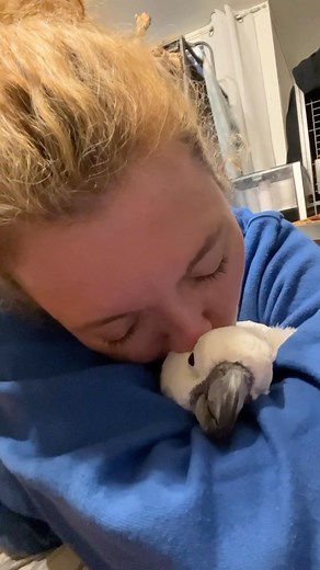 Victoria Cockatoo adds beauty to life. It's hard to believe we almost lost her in December. Never give up!! 💚 #VCStrong #FlockPower #adoptdontshop . . . #cockatoo #cockatoolove #cockatoosofinstagram #cockatoolife #rescuedpets #rescuedpetsofinstagram #parrots #parrotsofinstagram #parrotlife #parrotsofig #pets #petsofinstagram #petsagram #instapet #bff #bestfriends #bestfriendsforever #petsfriends #animallovers #animalrights | Parrot Playhouse