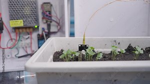 Hand of man is stitching a soil moisture sensor to determine soil moisture controlling it with an arduino microcontroller. Agricultural technology. 5G wireless technology.