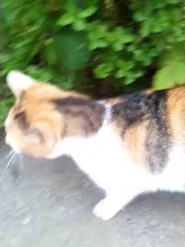 Ja volim kad je ona samnom.