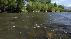 Top 10 Most Endangered Rivers in the U.S.