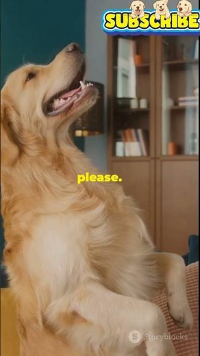 Top 5 Indian Dog Breeds (They Need More Recognition)